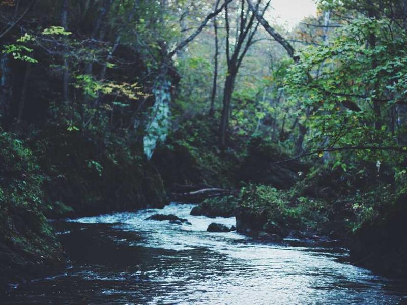 Kính cường lực màu